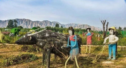 网红兰州 全国第六，为何苗木种植业如此红火？