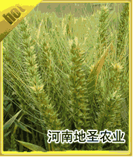 种子企业大全 推动农业发展的核心力量